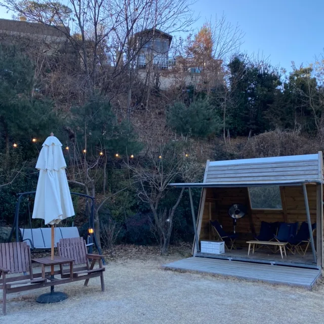 핑크공룡쿠쿠