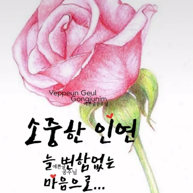 블랙장미