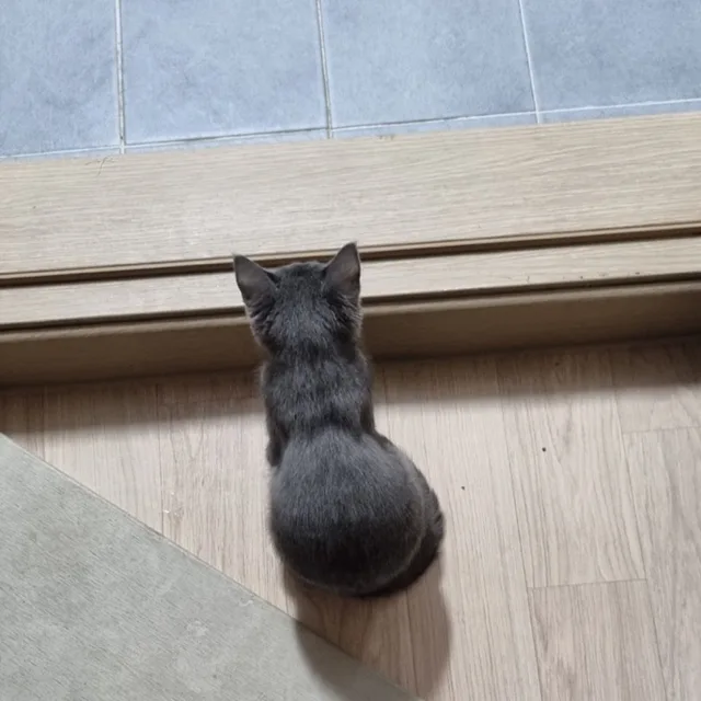 우우우아