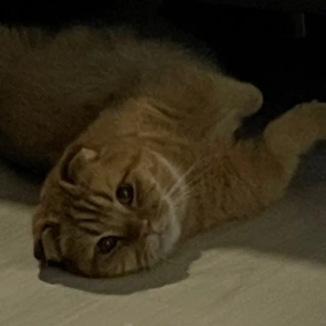 둉쁘