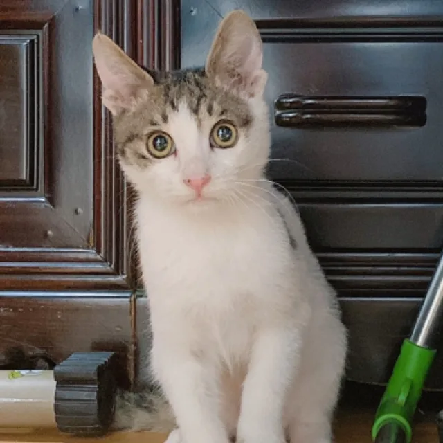 라라라