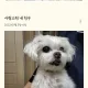 포미야