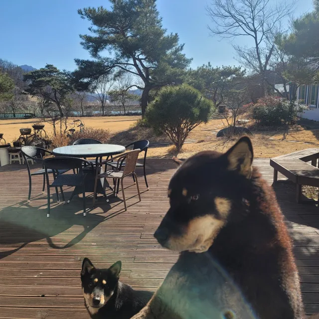 투산라떼