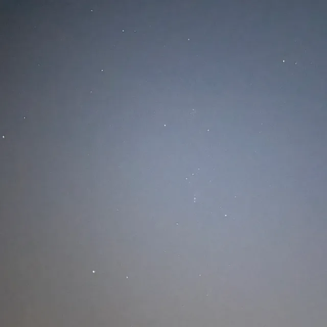 배배