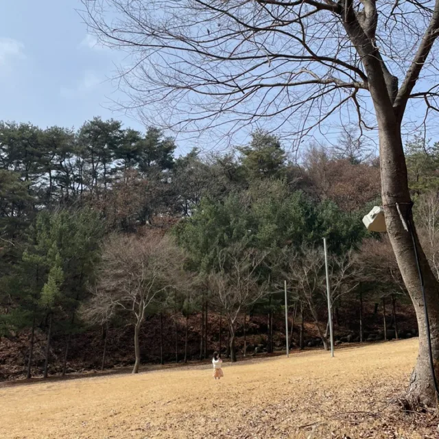 해지니달지니