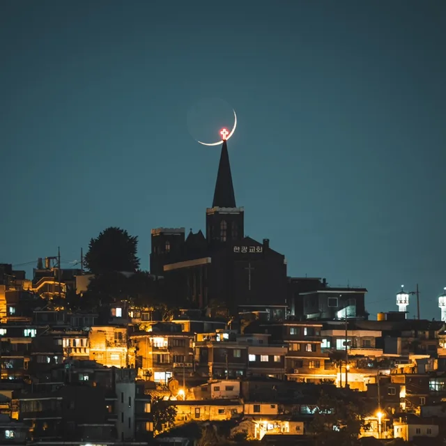 모도도