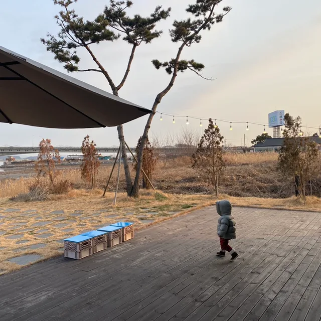 널리네
