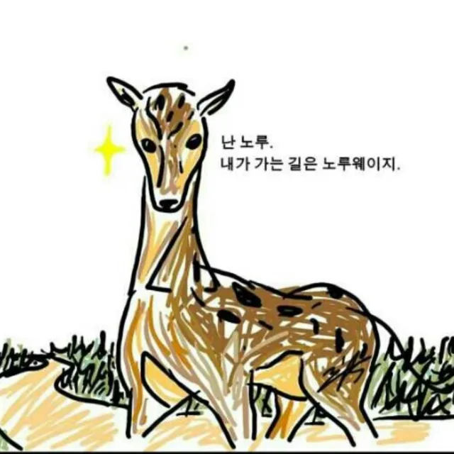 노루웨이