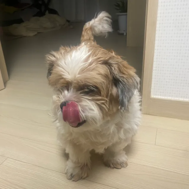 노동의길