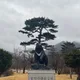 당끈당끈