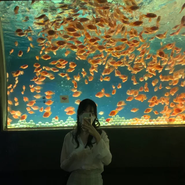 hallo0000