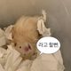 오픈채팅우연