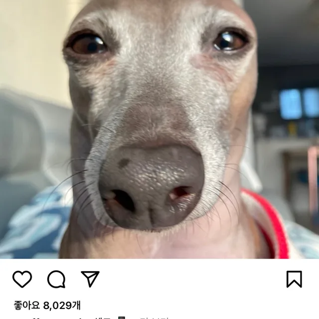 안녕