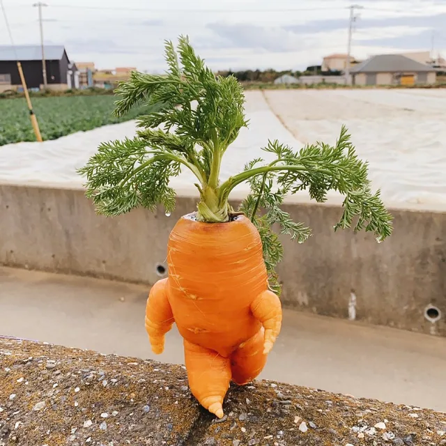 디요잉