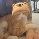 저공비행