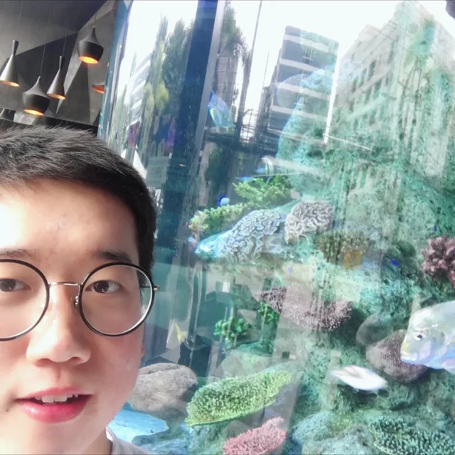 센더형