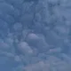 하핫하하핫