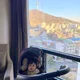 kyung