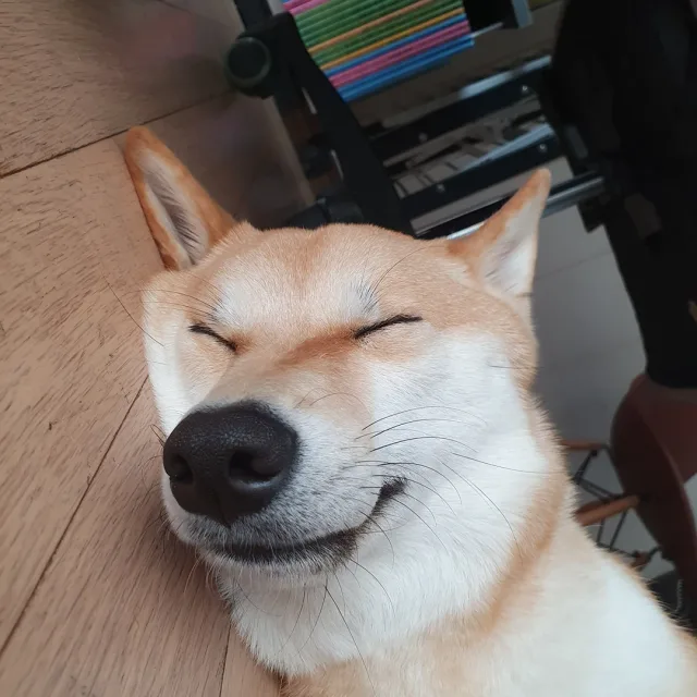 구돌이