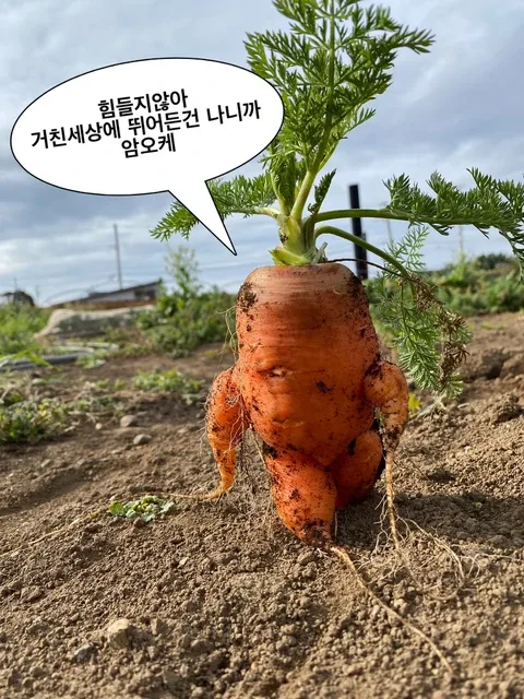 펜듸