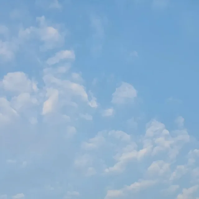 당근당근비대면조아요