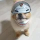 안전고리