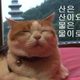 기린