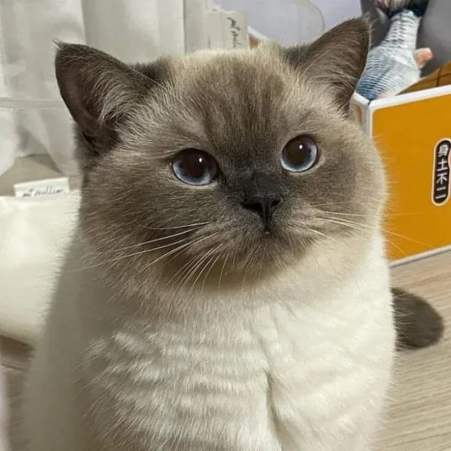 됒잉꾹뺍