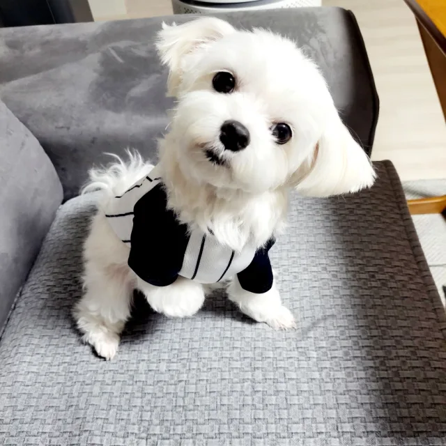 꽁뚜맘