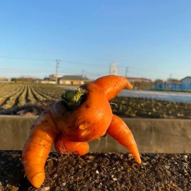 유유