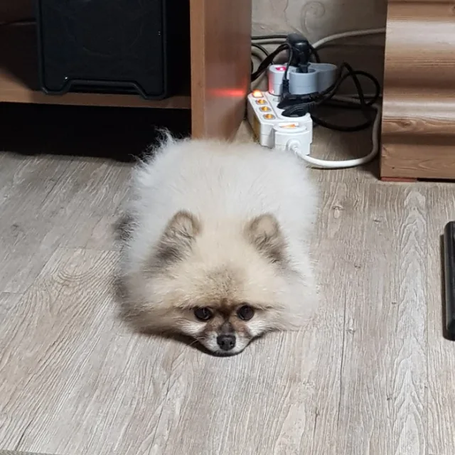 밤샘