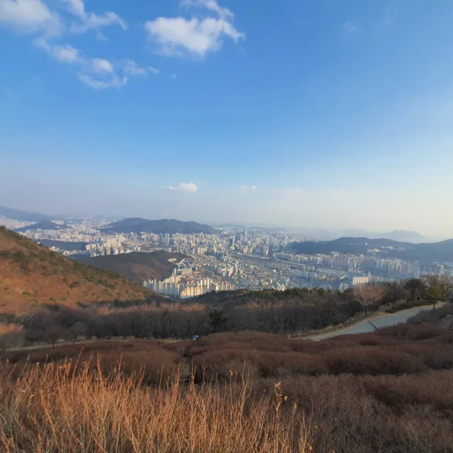 로얄32