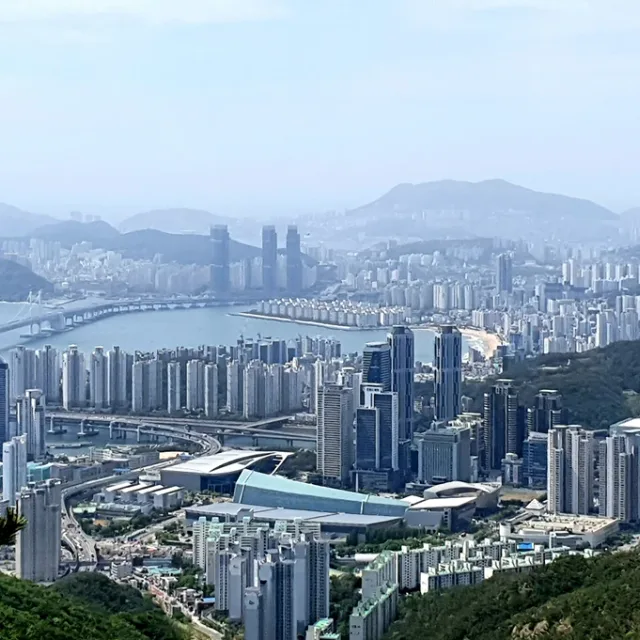 똘래