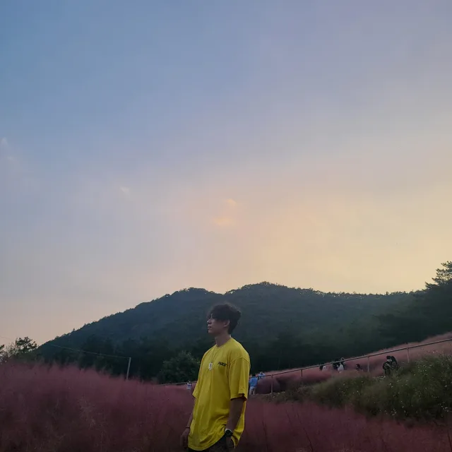 노스워크