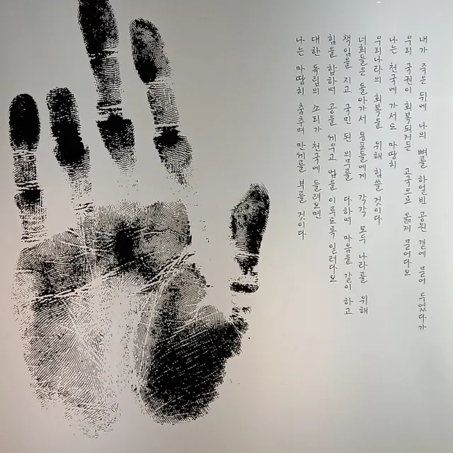 손바닥