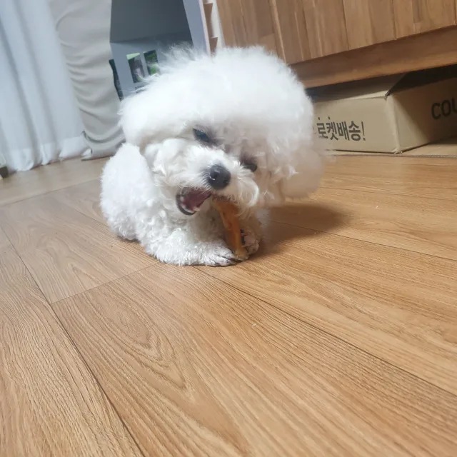 울짱