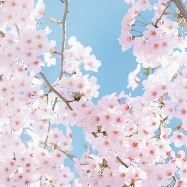 사방팔방