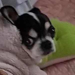 하얀종이