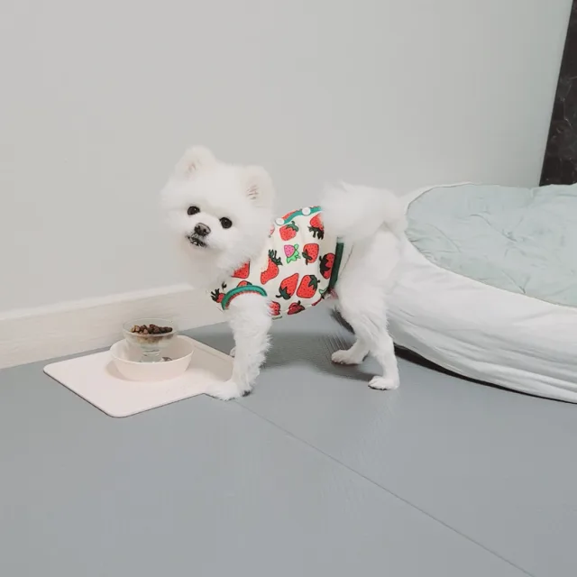 홍수몬
