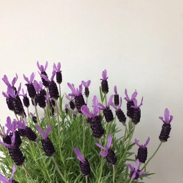 윤수학