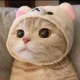 오니맘