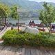 썬플라워