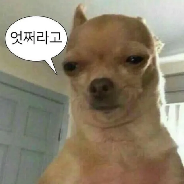 애옹이