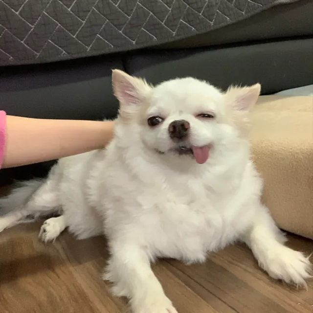 마롱