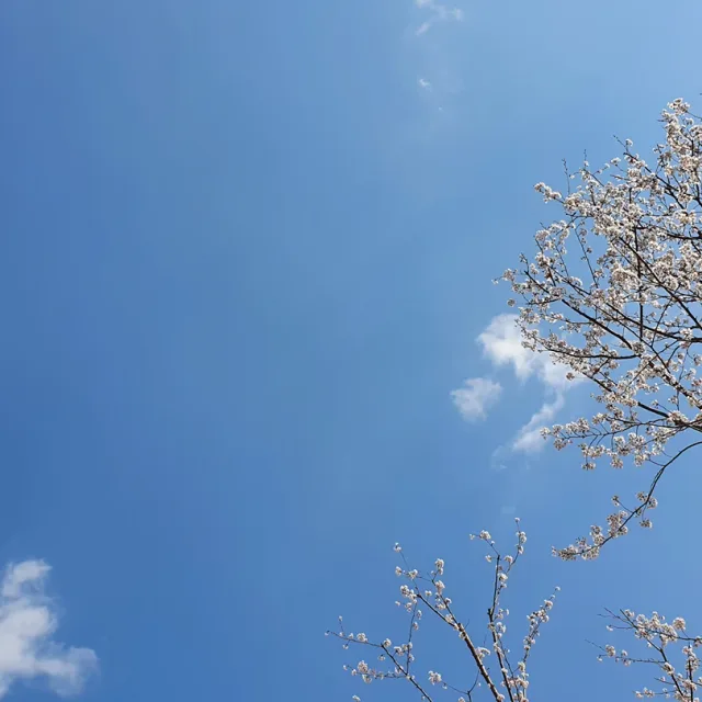 임시닉네임53
