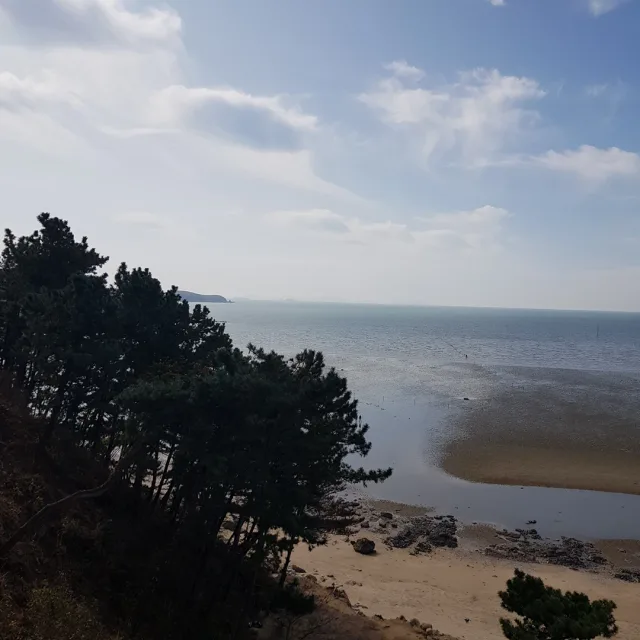 스노우