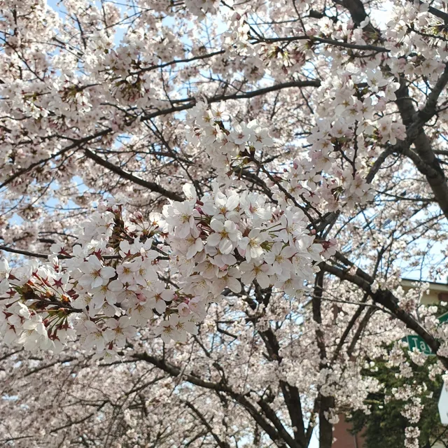 좋은거래원해요