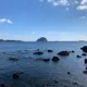 충주아네
