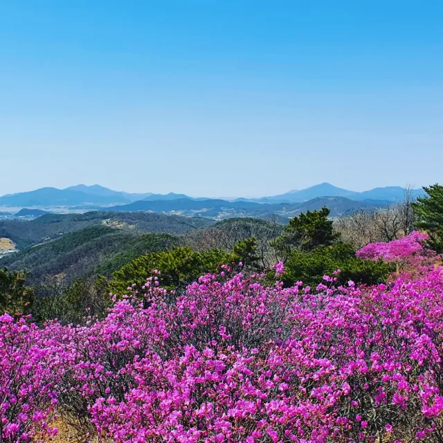 경무
