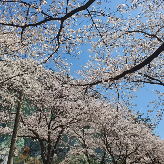 누크반테